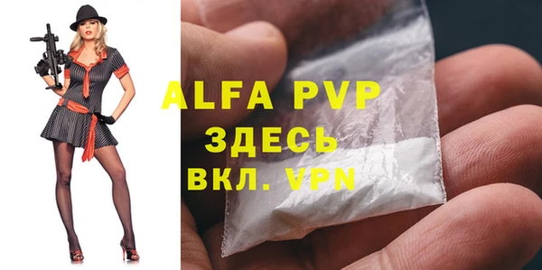 индика Балахна