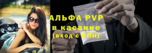индика Балахна