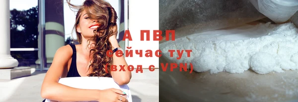 индика Балахна