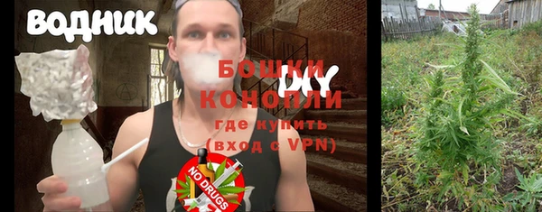 индика Балахна