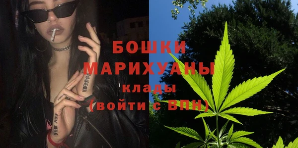 индика Балахна