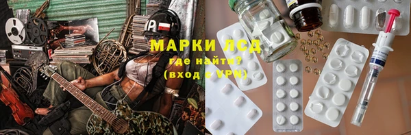прущие грибы Новозыбков
