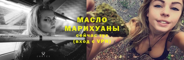 индика Балахна